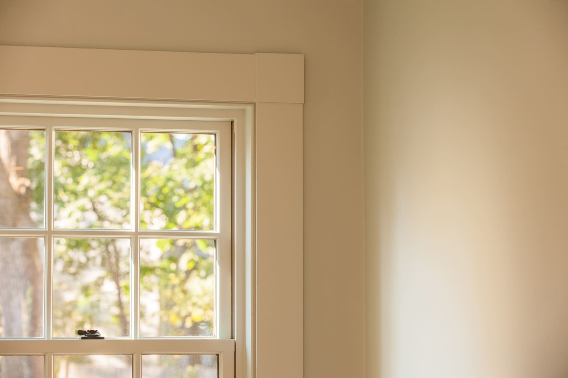 A photo of a white colonial style window and trim from the inside of a house.