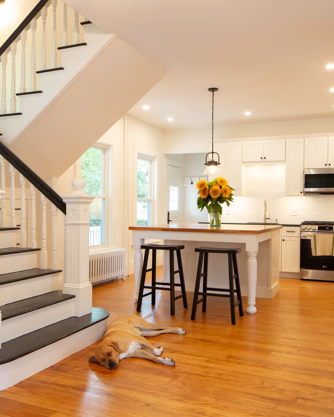 A kitchen with a dog laying on the floor